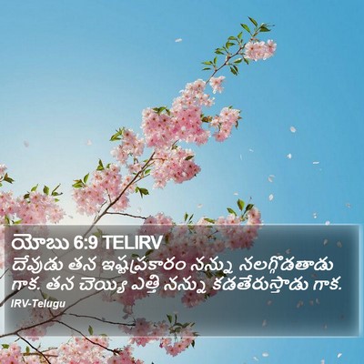 యోబు 6:9 TELIRV Bible Verse Image