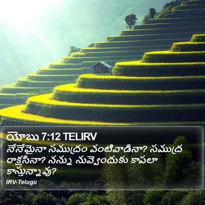 యోబు 7:12 TELIRV Bible Verse Image