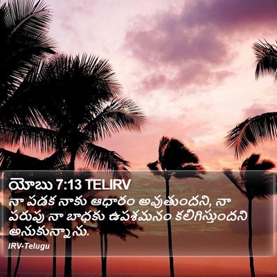 యోబు 7:13 TELIRV Bible Verse Image