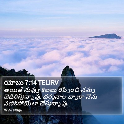 యోబు 7:14 TELIRV Bible Verse Image
