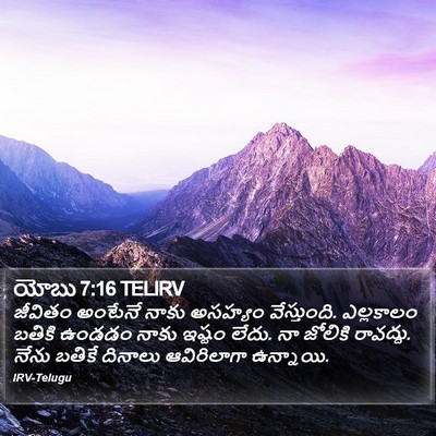 యోబు 7:16 TELIRV Bible Verse Image