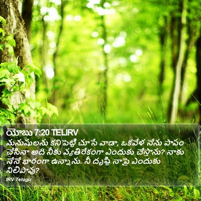 యోబు 7:20 TELIRV Bible Verse Image
