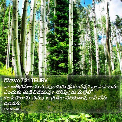 యోబు 7:21 TELIRV Bible Verse Image