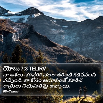 యోబు 7:3 TELIRV Bible Verse Image
