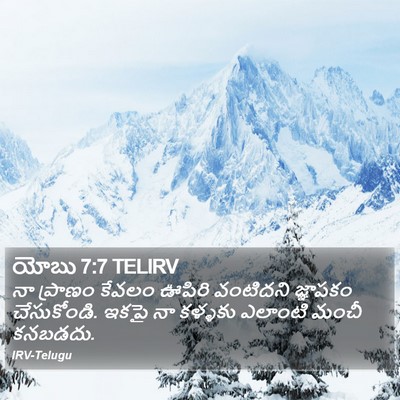 యోబు 7:7 TELIRV Bible Verse Image