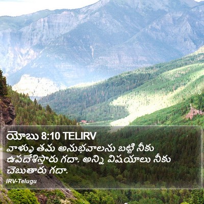 యోబు 8:10 TELIRV Bible Verse Image