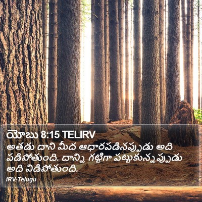 యోబు 8:15 TELIRV Bible Verse Image