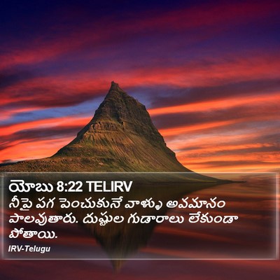 యోబు 8:22 TELIRV Bible Verse Image
