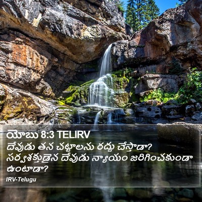 యోబు 8:3 TELIRV Bible Verse Image