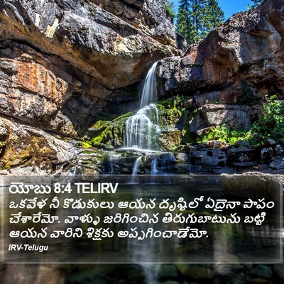 యోబు 8:4 TELIRV Bible Verse Image