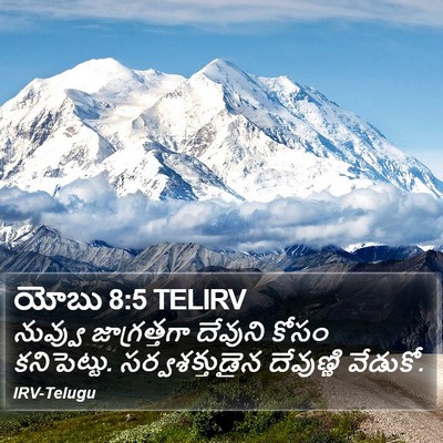 యోబు 8:5 TELIRV Bible Verse Image