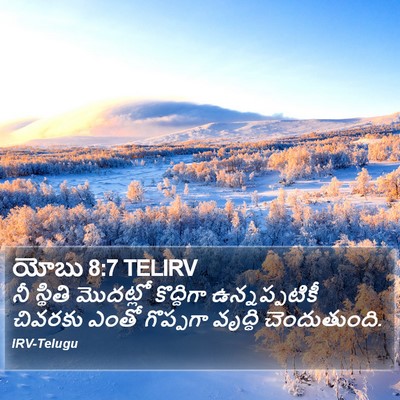 యోబు 8:7 TELIRV Bible Verse Image