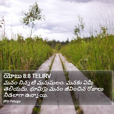 యోబు 8:8 TELIRV Bible Verse Image