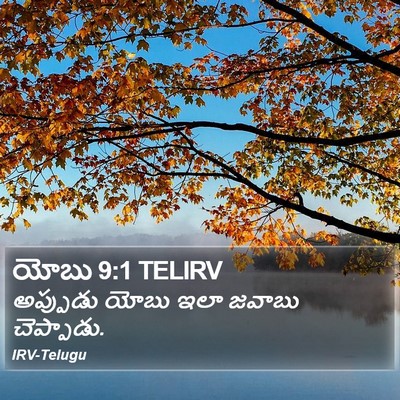 యోబు 9:1 TELIRV Bible Verse Image