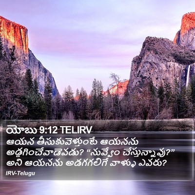 యోబు 9:12 TELIRV Bible Verse Image