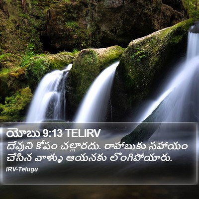 యోబు 9:13 TELIRV Bible Verse Image