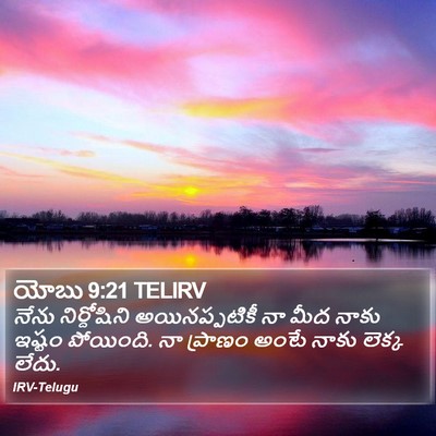 యోబు 9:21 TELIRV Bible Verse Image