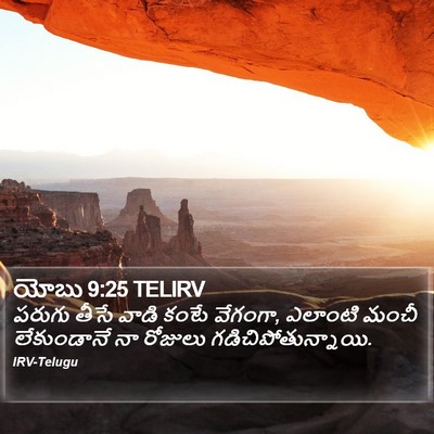 యోబు 9:25 TELIRV Bible Verse Image