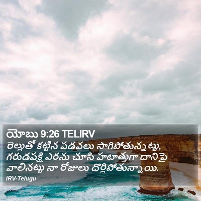 యోబు 9:26 TELIRV Bible Verse Image