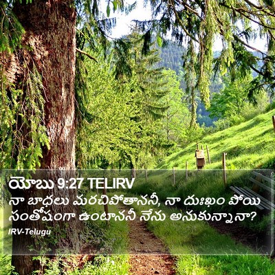 యోబు 9:27 TELIRV Bible Verse Image