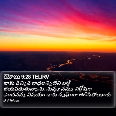 యోబు 9:28 TELIRV Bible Verse Image