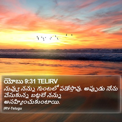 యోబు 9:31 TELIRV Bible Verse Image