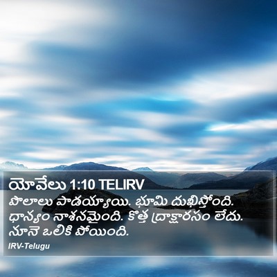 యోవేలు 1:10 TELIRV Bible Verse Image