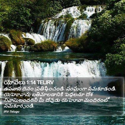 యోవేలు 1:14 TELIRV Bible Verse Image