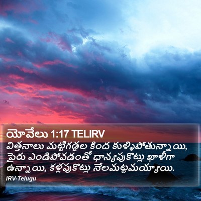 యోవేలు 1:17 TELIRV Bible Verse Image