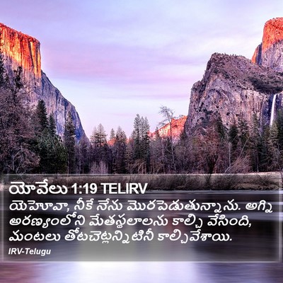 యోవేలు 1:19 TELIRV Bible Verse Image