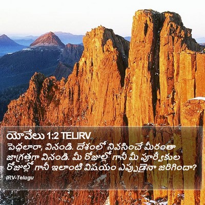 యోవేలు 1:2 TELIRV Bible Verse Image
