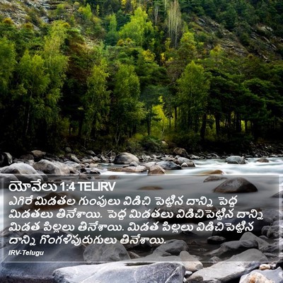 యోవేలు 1:4 TELIRV Bible Verse Image
