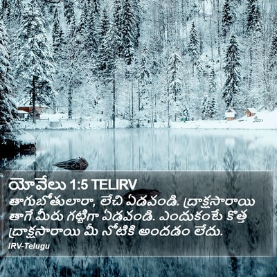 యోవేలు 1:5 TELIRV Bible Verse Image