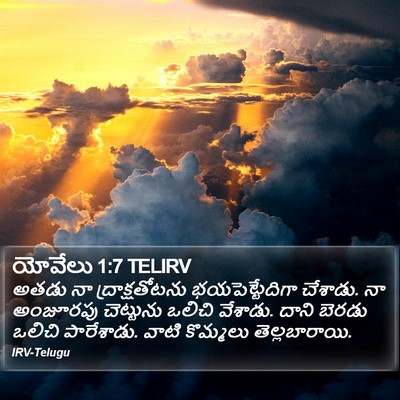 యోవేలు 1:7 TELIRV Bible Verse Image