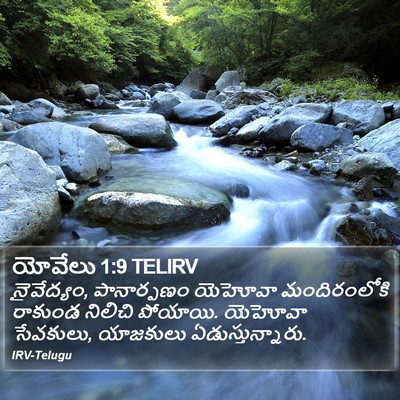 యోవేలు 1:9 TELIRV Bible Verse Image