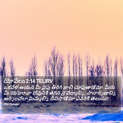 యోవేలు 2:14 TELIRV Bible Verse Image