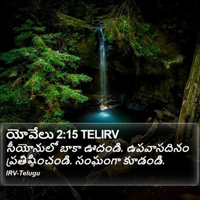 యోవేలు 2:15 TELIRV Bible Verse Image