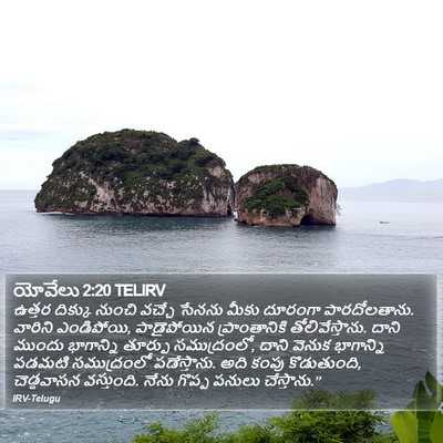 యోవేలు 2:20 TELIRV Bible Verse Image