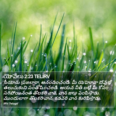 యోవేలు 2:23 TELIRV Bible Verse Image