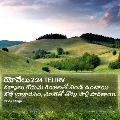యోవేలు 2:24 TELIRV Bible Verse Image