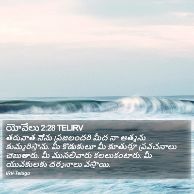యోవేలు 2:28 TELIRV Bible Verse Image