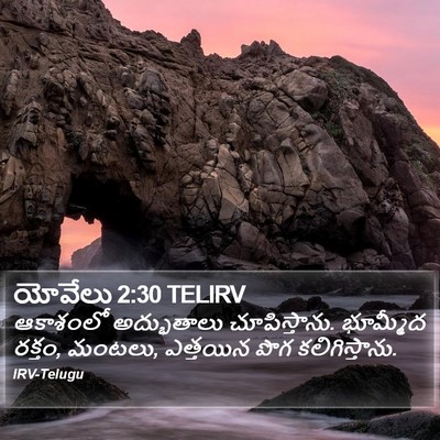 యోవేలు 2:30 TELIRV Bible Verse Image