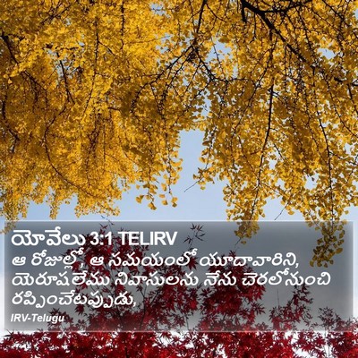 యోవేలు 3:1 TELIRV Bible Verse Image