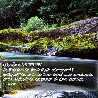 యోవేలు 3:8 TELIRV Bible Verse Image
