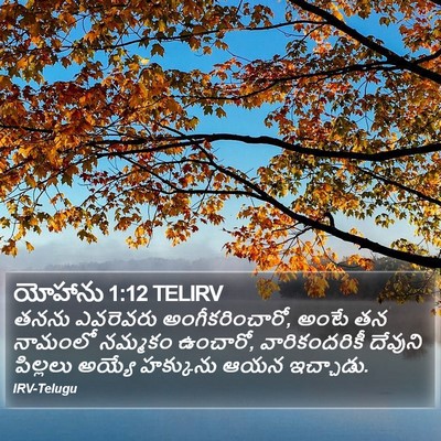 యోహాను 1:12 TELIRV Bible Verse Image