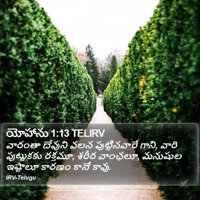 యోహాను 1:13 TELIRV Bible Verse Image