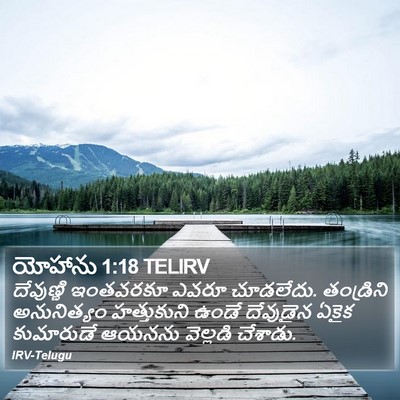 యోహాను 1:18 TELIRV Bible Verse Image