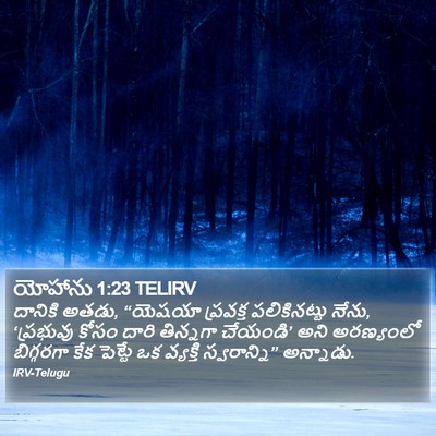 యోహాను 1:23 TELIRV Bible Verse Image