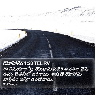 యోహాను 1:28 TELIRV Bible Verse Image