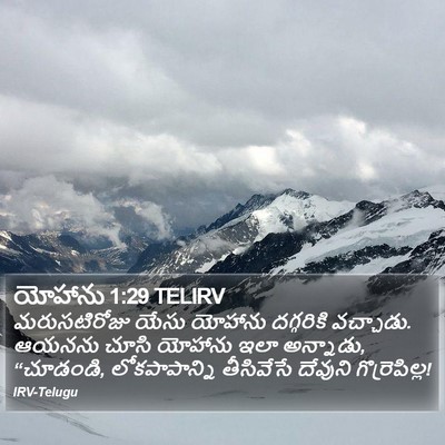 యోహాను 1:29 TELIRV Bible Verse Image